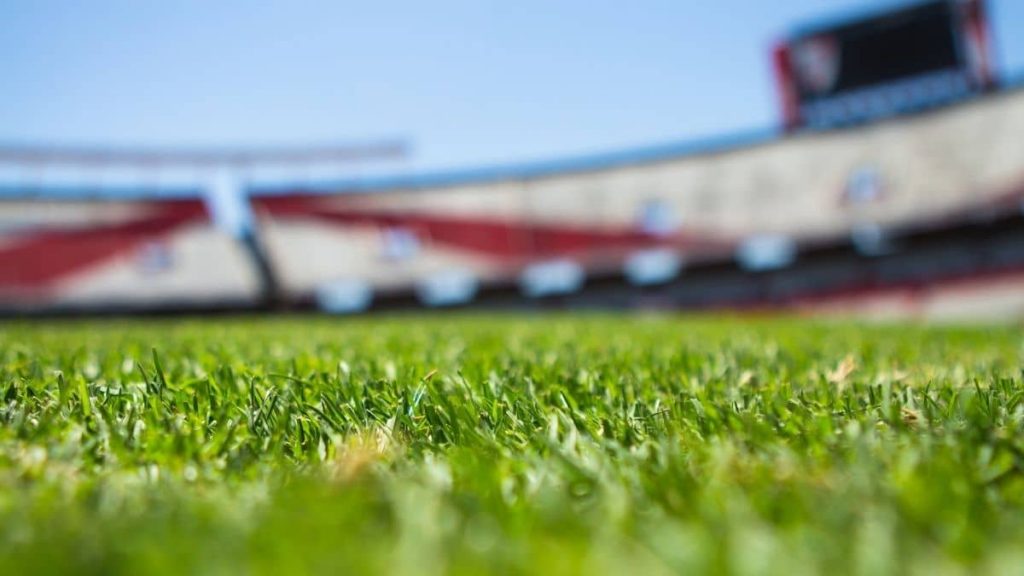 football betting field