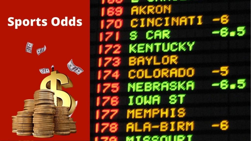 How to read sports betting odds?
